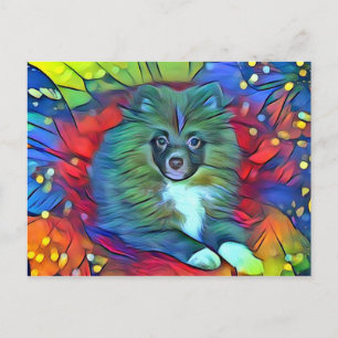Spitz Postkarte