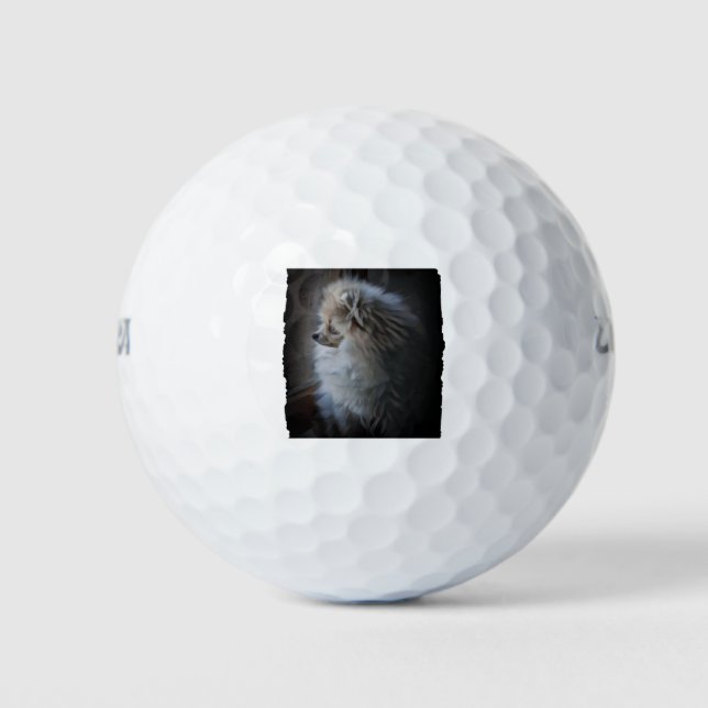 Spitz Puppy Golfball (Vorderseite)