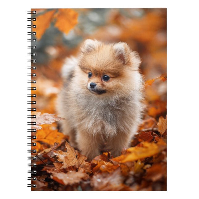 Spitz Puppy Spiral Notebook im Herbst Notizblock (Vorderseite)