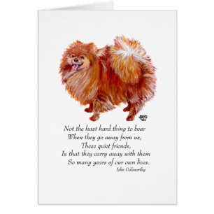 Spitz Rainbow Bridge