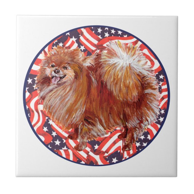 Spitz Red White & Blue Fliese (Vorderseite)