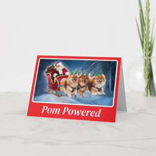 Spitz Reindeer Karte