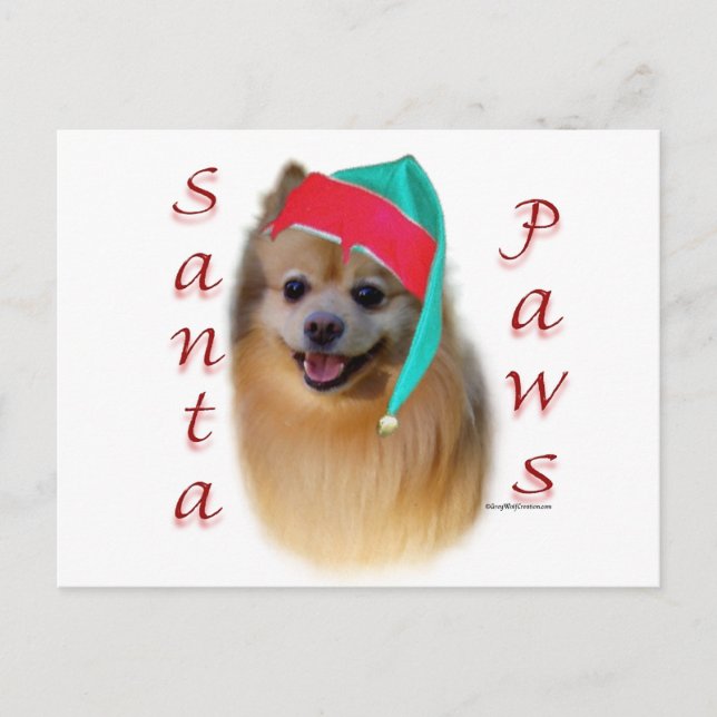 Spitz Santa Paws Feiertagspostkarte (Vorderseite)