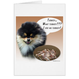 Spitz (schwarz) Türkei