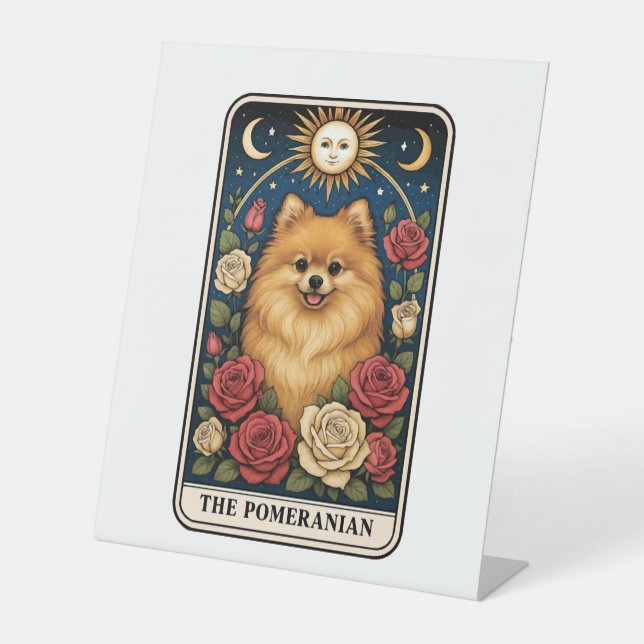 Spitz Sockelschild (Vorderseite)