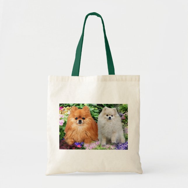 Spitz-Taschen-Tasche Tragetasche (Vorne)