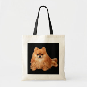 Spitz-Taschen-Tasche Tragetasche