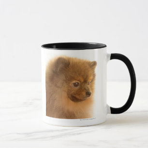 Spitz Tasse