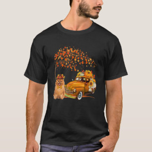 Spitz Tragehütte Lieferwagen LKW Pump Pump Pump T-Shirt