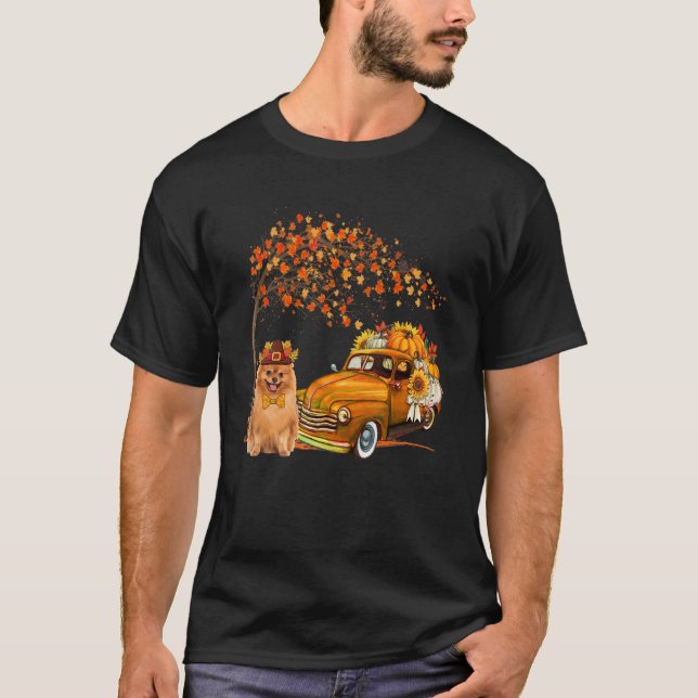 Spitz Tragehütte Lieferwagen LKW Pump Pump Pump T-Shirt (Vorderseite)