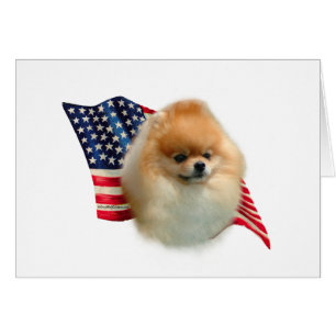 Spitz USA Flag; Patriotischer Spitz, Pom