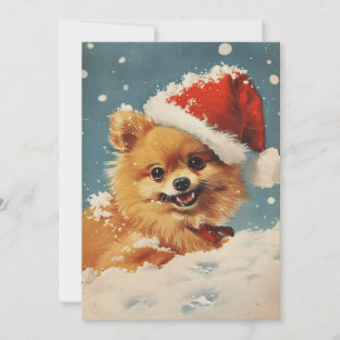 Spitz Weihnachten