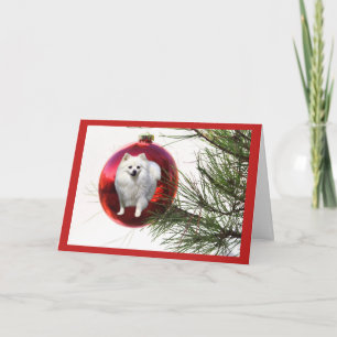 Spitz Weihnachtskarte Roter Ball Feiertagskarte