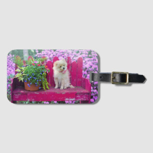 Spitz Welpe auf Fuchsia Pink Garden Benz Gepäckanhänger