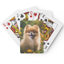 Spitz Welpe im Feld Blume