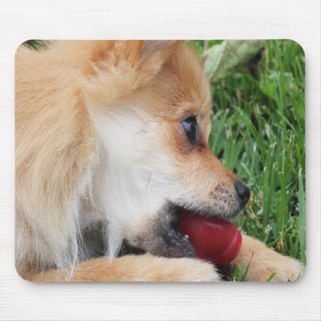 Spitz Welpe mit Ball Mousepad (Vorne)
