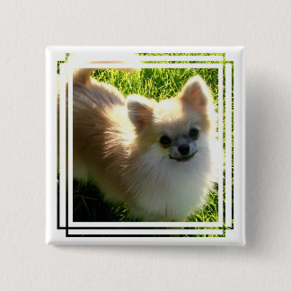 Spitz-Welpen-Button Button