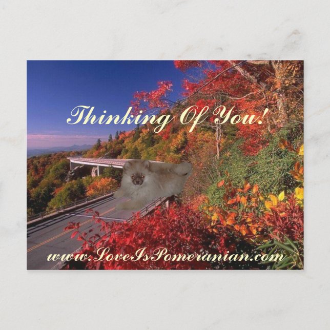 Spitz Zeus farbenfrohe Herbstlandschaft Postkarte (Vorderseite)