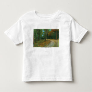 Spitze der mittleren Schlucht Saratoga Kleinkind T-shirt