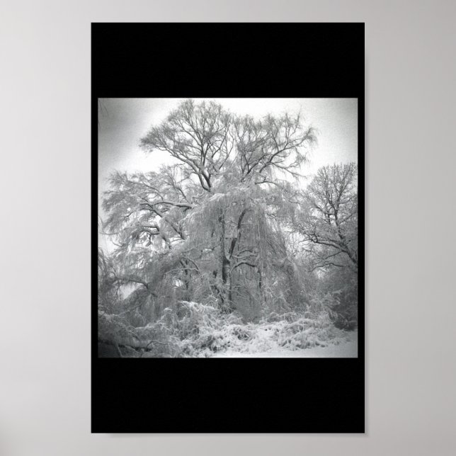 spitze poster (Vorne)