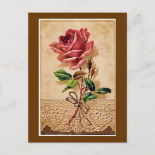 Spitzenrose Postkarte