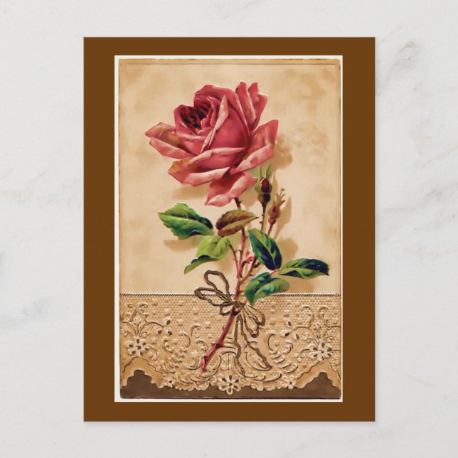 Spitzenrose Postkarte (Vorderseite)