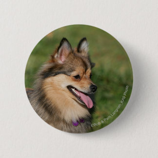 Spitzheadshot-Keuchen Button