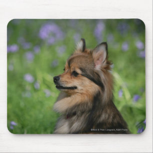 Spitzheadshot-Sitzen Mousepad