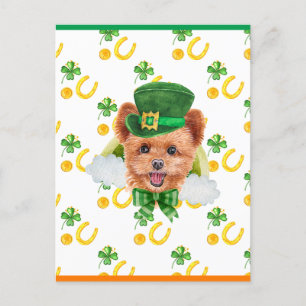 Spitzpoo Shamrock St. Patricks Day Feiertagspostkarte