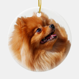 SpitzSpitz Keramikornament