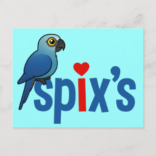 Spix-Liebe Postkarte