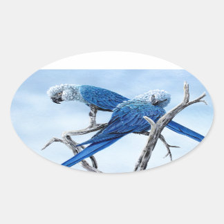 Spix macaw Der blaue Papagei des Films Rio. Ovaler Aufkleber