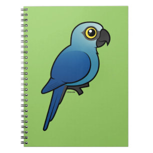 Spixs Macaw Notizblock