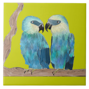 Spix's Macaws on a Keramik Tile - (G) Fliese