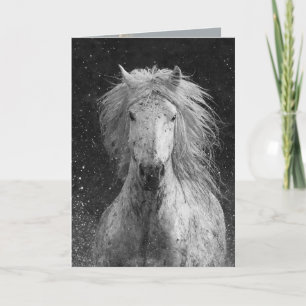 Splash Horse Greeting Card Karte