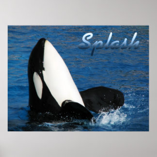 Splash Poster