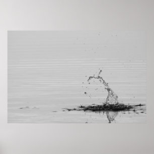 Splash Poster