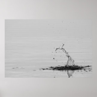 Splash Poster