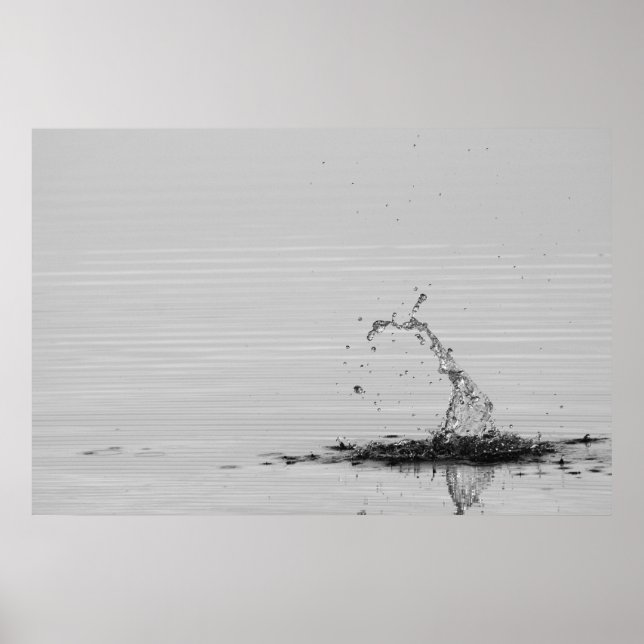 Splash Poster (Vorne)