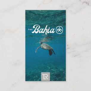 Splash Sea Turtle Logo und Aquamarine Visitenkarte