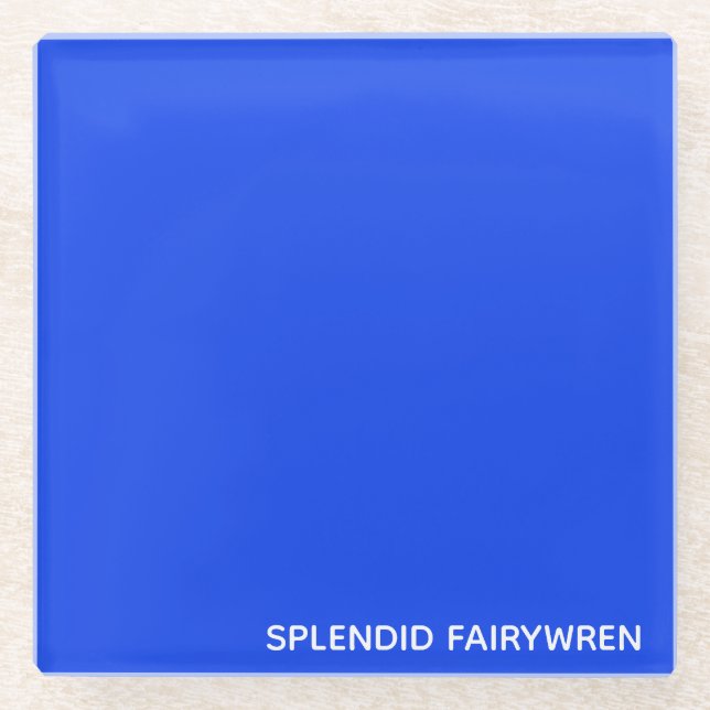 Splendid Fairywren Blue Color Name Glasuntersetzer (Vorderseite)