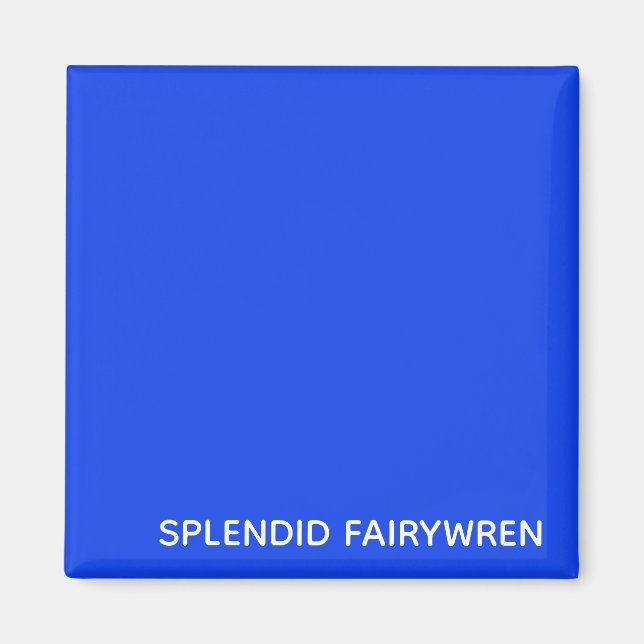 Splendid Fairywren Blue Color Name Magnet (Vorne)