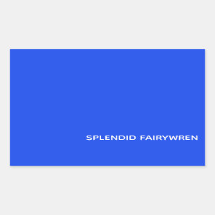 Splendid Fairywren Blue Color Name Rechteckiger Aufkleber