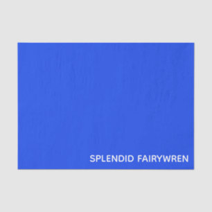 Splendid Fairywren Blue Color Name Seidenpapier