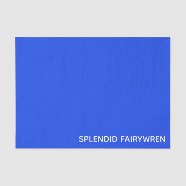 Splendid Fairywren Blue Color Name Seidenpapier (Vorderseite)