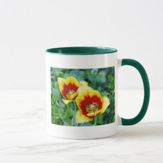 Splendiflorous Esprit-Tasse - Gelb/rote Tulpe Tasse