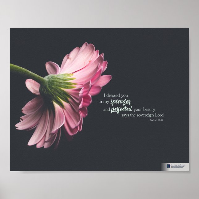 Splendor (Ezekiel 16:14) Poster (Vorne)