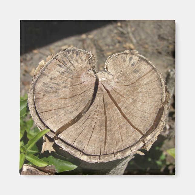 Split Heart Stump Magnete (Vorne)