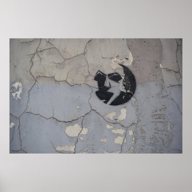 Splitter aus schwarzem und weißem Stein Poster (Vorne)