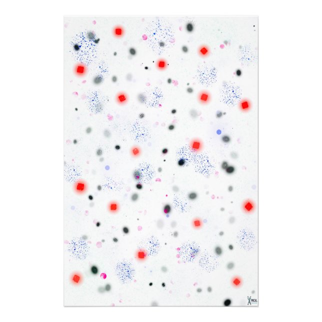 SPLOTCH FOTODRUCK (Vorne)